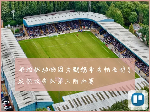 都柏林动物园为鹦鹉命名帕洛特引发热议带队杀入附加赛