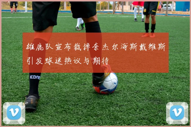 雄鹿队宣布裁掉奈杰尔海斯戴维斯引发球迷热议与期待