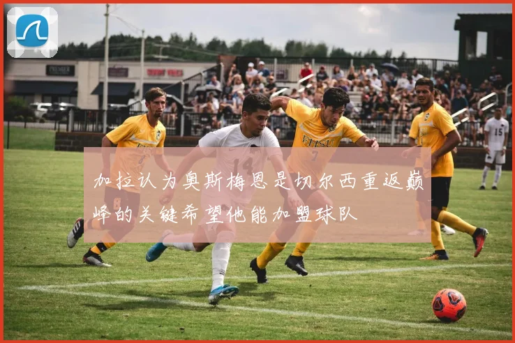 加拉认为奥斯梅恩是切尔西重返巅峰的关键希望他能加盟球队